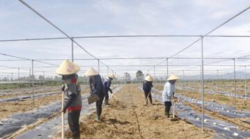 استراتيجيات وطنية جديدة تهدف إلى استعادة الأراضي الزراعية المتدهورة في عدة مناطق