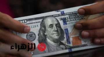 استقرار سعر الدولار في البنوك المصرية بالتزامن مع الإجازة الرسمية للقطاع المصرفي