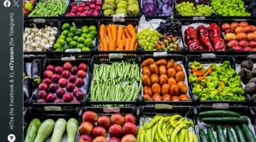 استقرار أسعار الخضروات والفاكهة في سوق العبور يوم الثلاثاء ١٧ مارس ٢٠٢٦