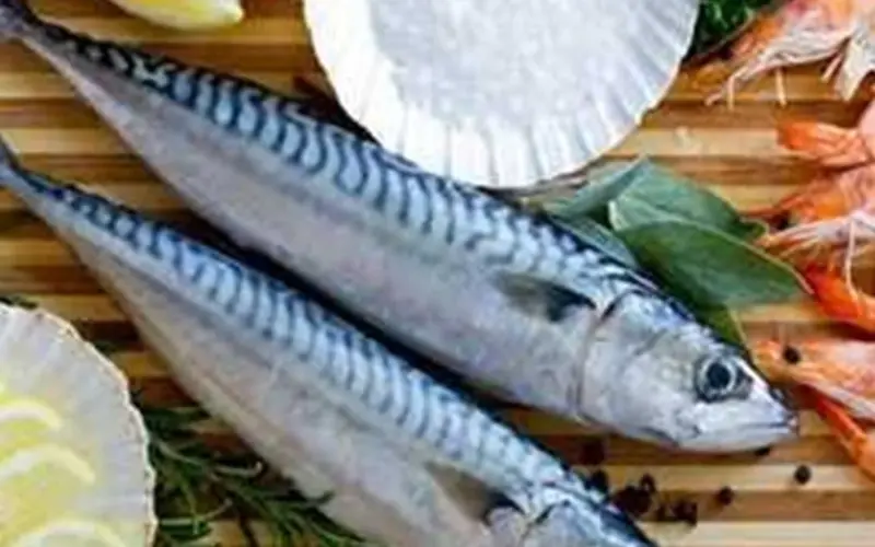 اعرف الكيلو بكام.. أسعار السمك اليوم 31 مارس في الأسواق المصرية