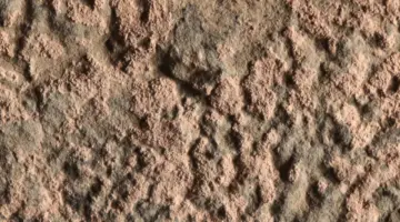 اكتشاف آثار حياة تعود إلى 180 مليون سنة في مختلف مناطق المغرب