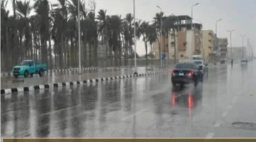 الأرصاد تحذر من أمطار رعدية ونشاط رياح قوي يضربان عدة مناطق غدا