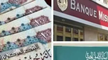 الاسترداد المبكر والقروض بضمان الشهادات.. كل ما تود معرفته عن أوعية الادخار الجديدة