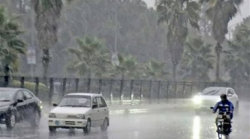 القاهرة تسجل 19 درجة مئوية مع عودة الأجواء الشتوية نهاية الأسبوع الحالي