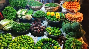 انخفاض أسعار الطماطم والباذنجان الأبيض 5 جنيهات مقابل قفزة في تكلفة الفلفل