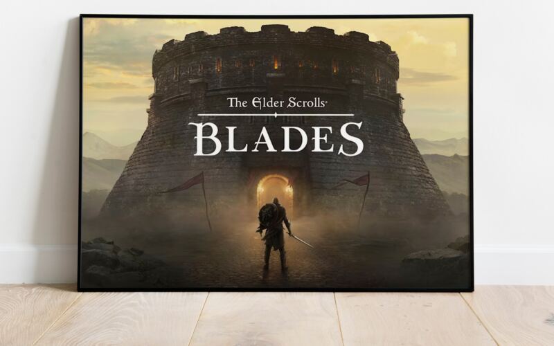 بعد 7 سنوات من المنافسة.. بيثيسدا تنهي دعم “ذا إلدر سكرولز: بليدز” | تكنولوجيا