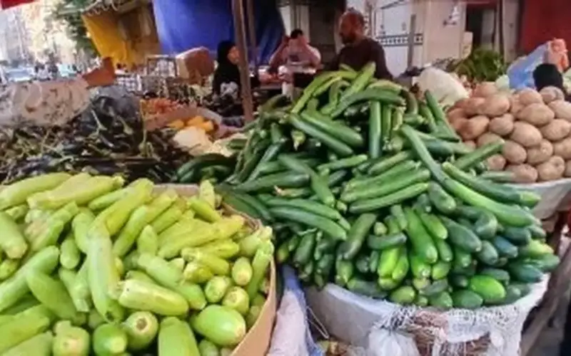 بكم الطماطم النهاردة؟.. سعر الخضار بالقليوبية اليوم الجمعة 27 – 3 – 2026