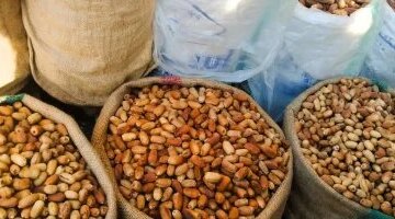 تباين أسعار البلح السيوي والتمور في أسواق مطروح يوم الأربعاء 18 مارس