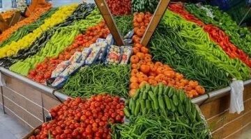 تباين أسعار الخضراوات في الأقصر مع وصول الطماطم إلى 25 جنيهاً اليوم
