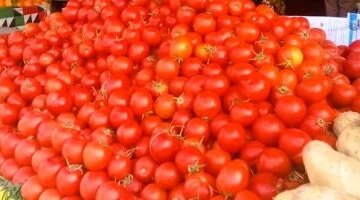 تباين أسعار الخضراوات والفاكهة في أسواق أسوان بين 15 و50 جنيها للكيلو