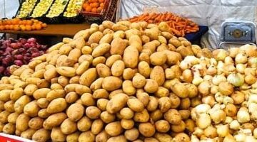 تحديث جديد في أسعار الخضراوات بأسواق الأقصر والبطاطس تبدأ من 7.5 جنيه