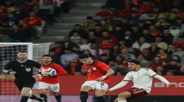 تحذير وتنبيه في ملعب مباراة مصر وإسبانيا (فيديو)