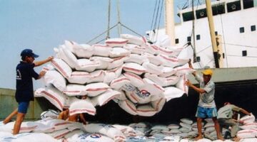 تحركات فيتنام لتعزيز حضور الأرز الوطني في الأسواق العالمية عبر خطة ترويجية