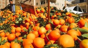 تحولات جديدة تصيب أسعار تداول الفاكهة بأسواق الأقصر خلال تعاملات اليوم الثلاثاء