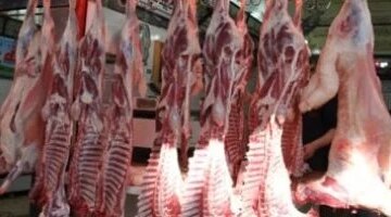 تذبذب أسعار اللحوم في أسواق كفر الشيخ يوم السبت 21 مارس 2026
