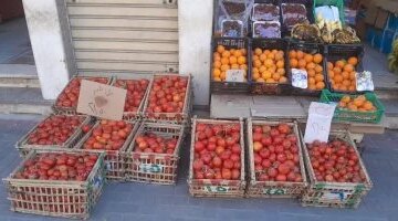 تراجع طفيف في أسعار الخضراوات بأسواق الأقصر خلال تعاملات يوم الثلاثاء