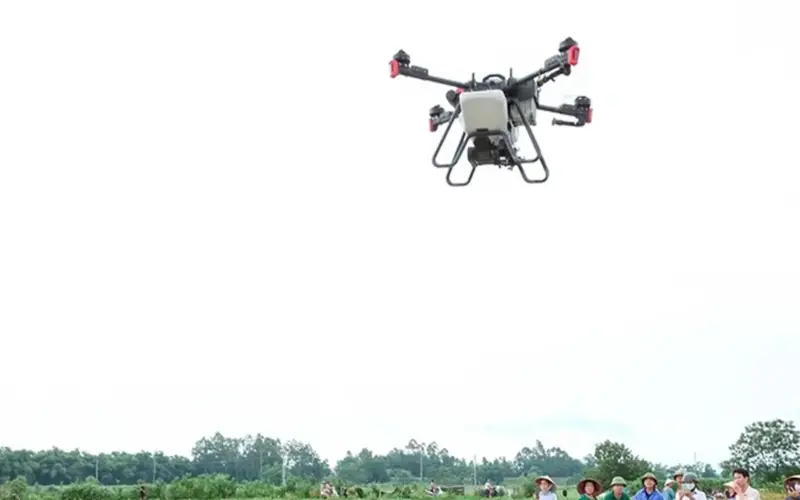 تركز شركة تيان لو على الإنتاج الزراعي عالي التكنولوجيا.