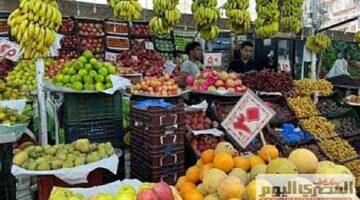 تطورات جديدة في أسعار الفاكهة الطازجة والمستوردة بمواقيت الأقصر خلال تعاملات الثلاثاء