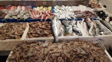 تطورات مفاجئة في أسعار السمك خلال تعاملات اليوم الإثنين 2 مارس وبينها البلطي