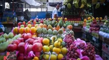 تعرف على أسعار الفاكهة بسوهاج اليوم.. والموز بـ 20 جنيها للكيلو