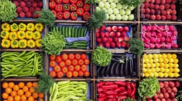 تغيرات أسعار الخضروات والفاكهة في الأسواق المصرية خلال تعاملات يوم الجمعة المقبل