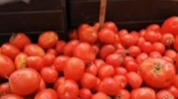 تغيرات أسعار الخضراوات في الأقصر وتجاوز سعر الطماطم حاجز 20 جنيهاً مصرياً