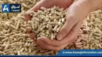 تغيرات جديدة في أسعار الأعلاف للطن الواحد لدى التجار خلال تعاملات الخميس