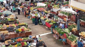 تغيرات جديدة في أسعار الخضروات داخل سوق العبور للجملة يوم الأربعاء 4 مارس