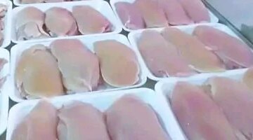 تغيرات جديدة في أسعار الفراخ والبانيه داخل أسواق محافظة المنوفية اليوم الثلاثاء