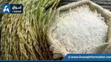 تغيرات سعر الأرز في الأسواق وتذبذب قيمة طن الشعير لدى التجار اليوم