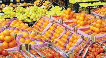 تغيرات ملحوظة في أسعار الفاكهة اليوم 5 مارس داخل الأسواق المصرية