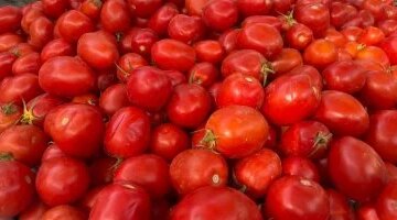 تفاوت أسعار الخضروات في الأقصر اليوم السبت مع وصول سعر الطماطم لـ 25 جنيهاً