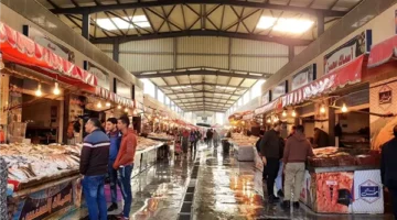 تفاوت أسعار السمك اليوم: البلطي يتراوح بين 68 و75 جنيها والبوري يرتفع مستوياته