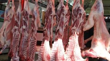 تفاوت أسعار اللحوم في مطروح وسعر الكيلو الضأن يسجل 400 جنيه