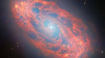 تلسكوب جيمس ويب يلتقط تفاصيل دقيقة لمجرة حلزونية في أحدث صورة فلكية