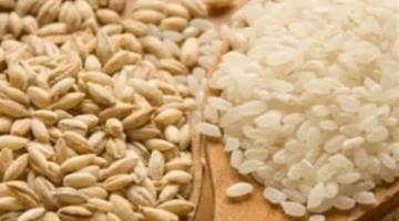 حكم إخراج زكاة الفطر قمحاً وقيمة المقدار المحدد لإخراجها نقداً