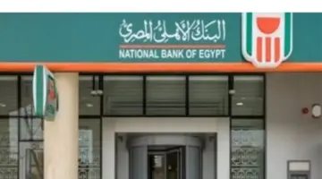 خريطة مزايا البنوك المصرية 2026.. مميزات الشهادة البلاتينية والشهادات التراكمية
