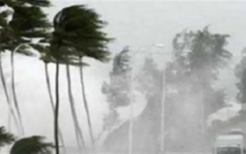 خريطة هطول الأمطار والظواهر الجوية في محافظة الجيزة