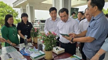 خطط دولية جديدة لزيادة دعم التمويل الأخضر الموجه لنماذج خفض الانبعاثات الكربونية