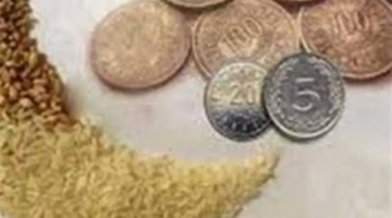 دار الإفتاء المصرية تحدد 35 جنيها كحد أدنى لقيمة زكاة الفطر