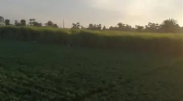 دليل المسافر والمواطن: كيف تضمن معرفة أحوال الطقس قبل الخروج من المنزل؟