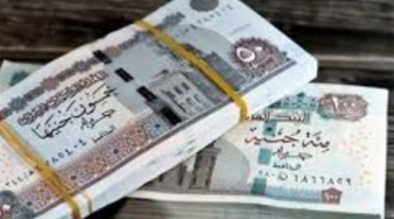 رابط الاستعلام عن معاشات أبريل والرقم التأميني عبر موقع الهيئة القومية للتأمينات