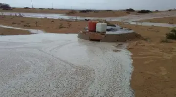 سحب وأمطار تضرب شمال البلاد.. ورياح محملة بالأتربة على هذه المناطق