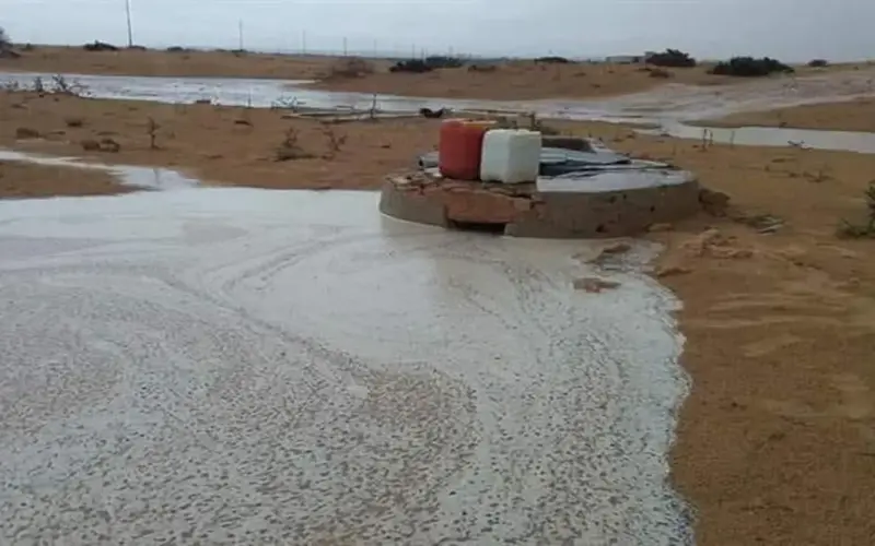 سحب وأمطار تضرب شمال البلاد.. ورياح محملة بالأتربة على هذه المناطق