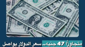 سعر الدولار في البنوك المصرية يسجل مستويات جديدة خلال تعاملات منتصف اليوم