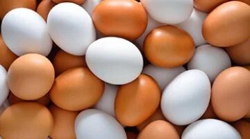 سعر طبق البيض في القليوبية يبلغ 123 جنيهاً في الأسواق يوم الأربعاء