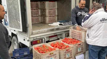 سيارات متنقلة تابعة للصناعات الغذائية تطرح الطماطم في الأسواق بأسعار مخفضة للمواطنين
