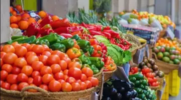 صعود أسعار الخضروات مؤقت وستتراجع قريبًا|فيديو