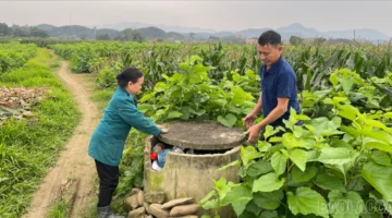 ضرورة ملحة لتنفيذ عملية متزامنة تحمي سلامة الأراضي الزراعية من المخاطر البيئية