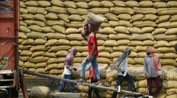 ضغوط تلاحق سوق الأرز والحبوب بسبب قفزة في تكاليف النقل العالمية